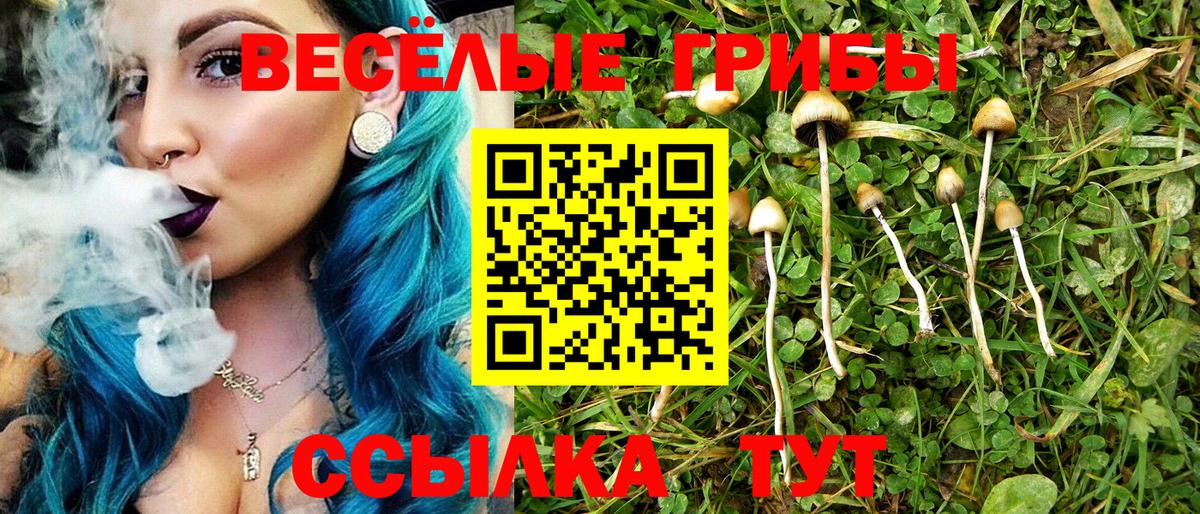 Псилоцибиновые грибы мухоморы Тамбов