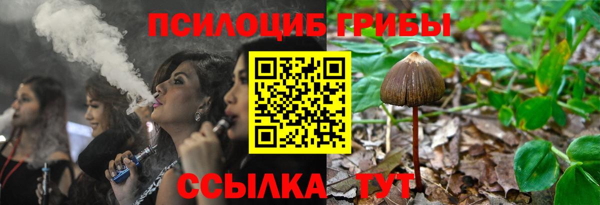 Галлюциногенные грибы GOLDEN TEACHER  Вход с VPN  Тамбов 